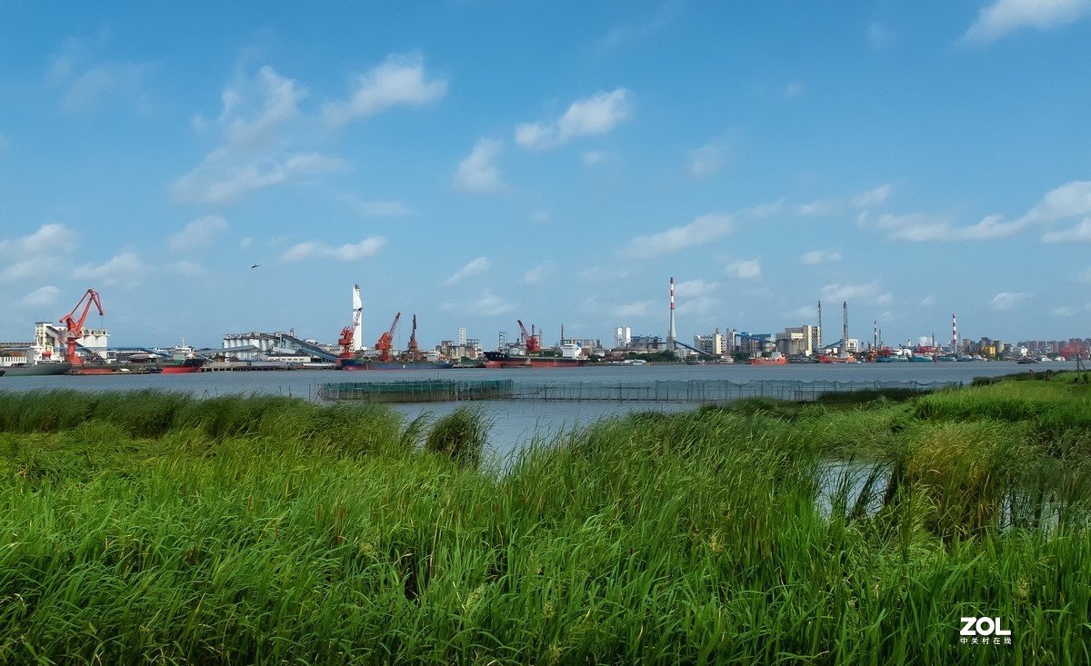 黄浦江岸边天然氧吧