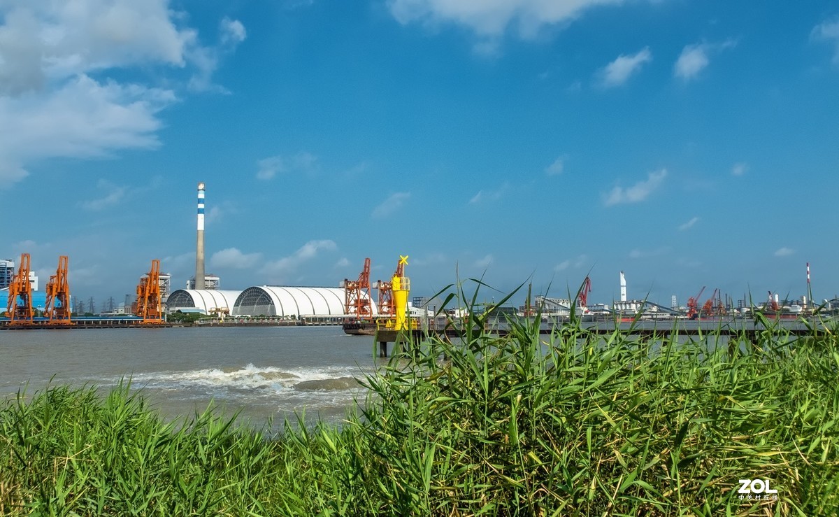 黄浦江岸边天然氧吧