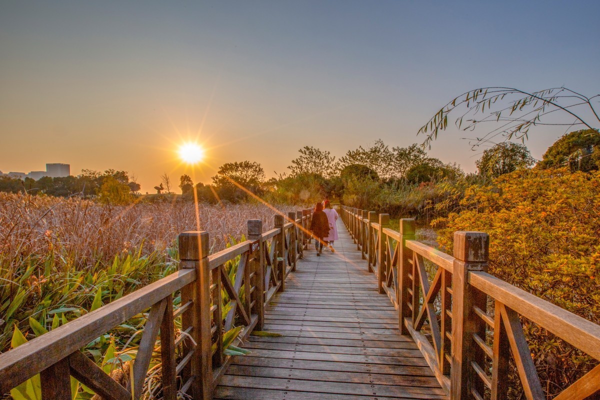 洋湖冬季风景 16