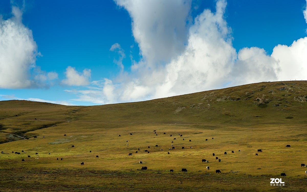 川西高原行游记第六集  稻城亚丁 —雅江县【水光山色仙境开】