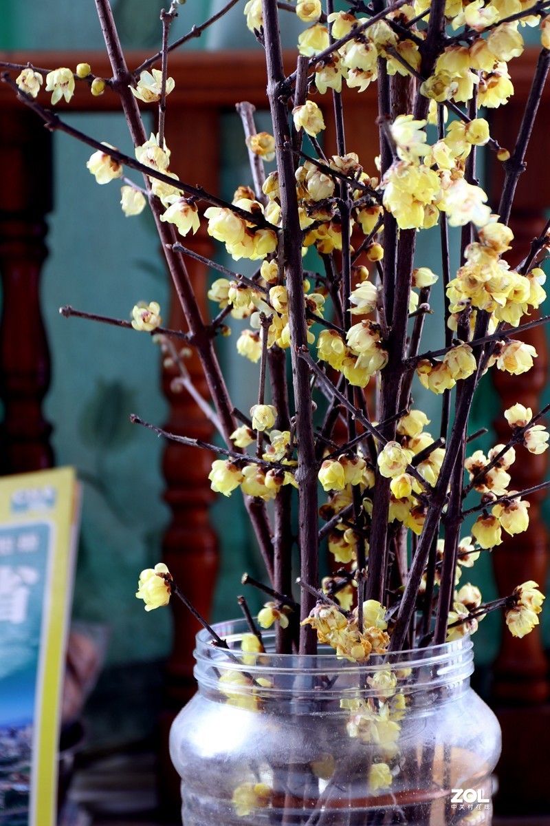 EOS-M6 转接适马17-70MM镜头