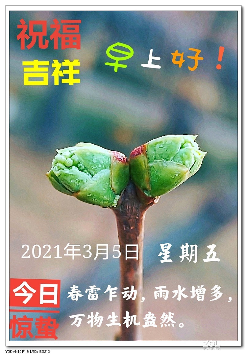 乘胜前进！在来一组手机青岛风光片，今天刚拍的，趁着热乎先上一点
