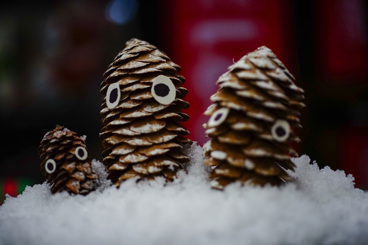 美能达50微手持+手动对焦练习