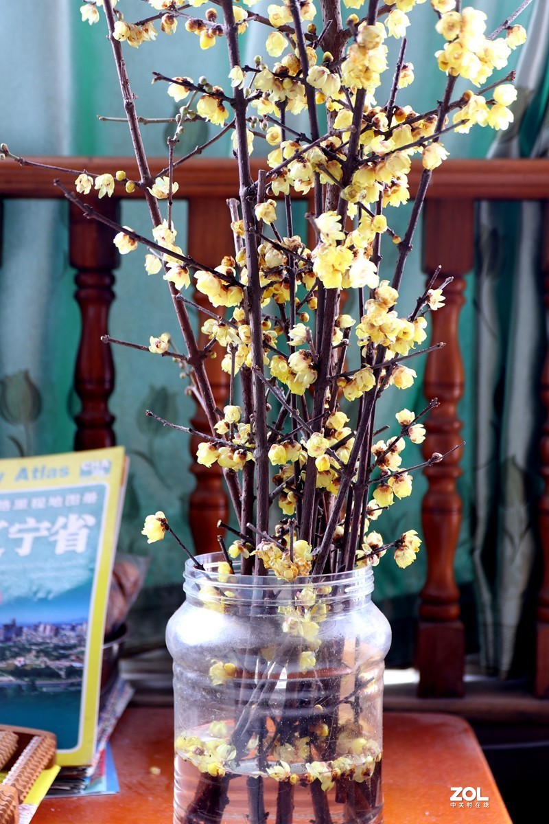 EOS-M6 转接适马17-70MM镜头