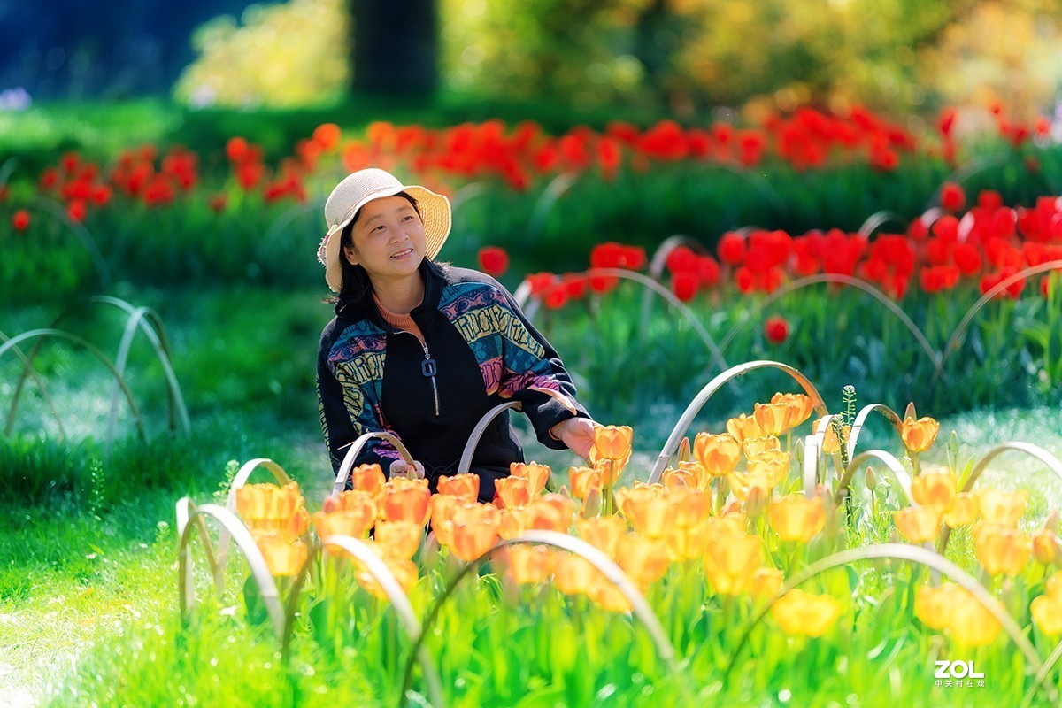 Canon EOS RP  蹭拍普通人