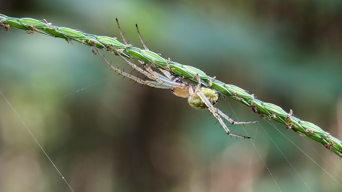 2021，09昆虫趣拍