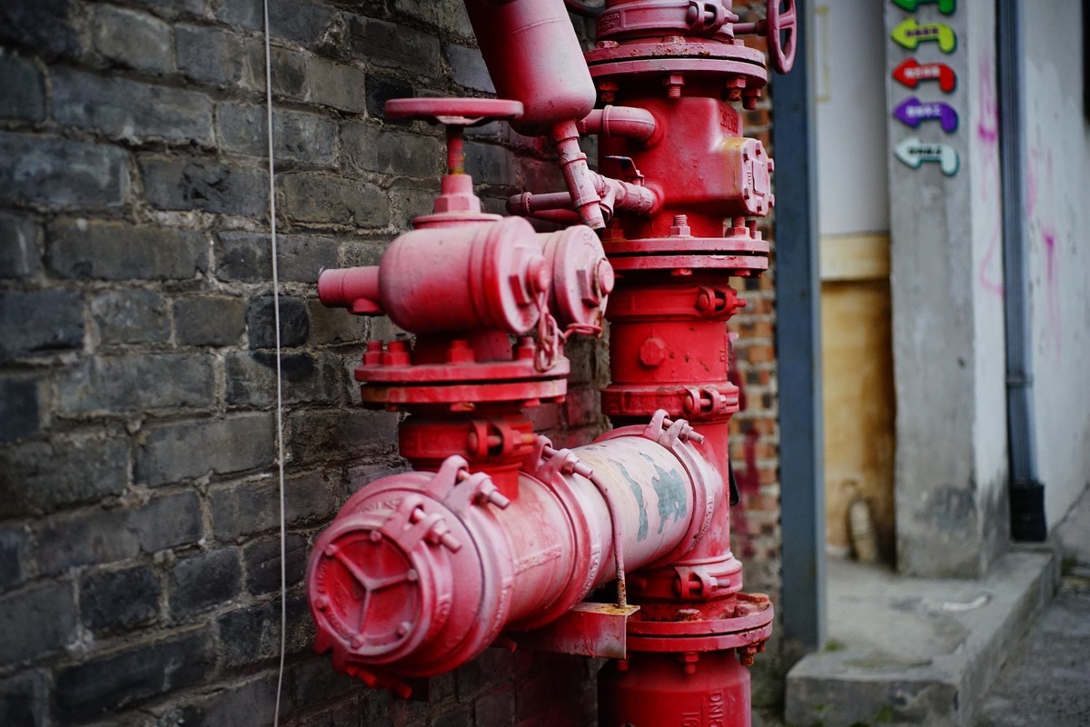 美能达50微手持+手动对焦练习