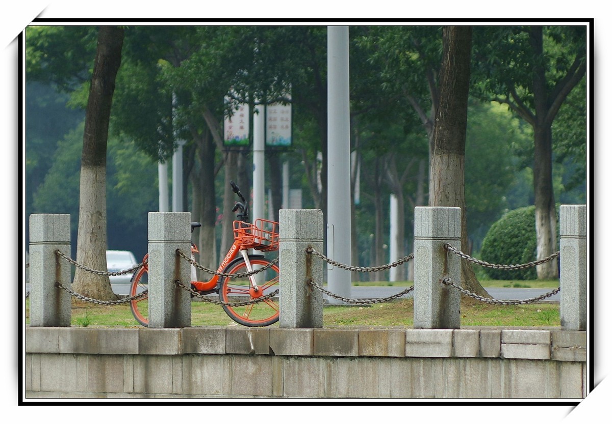 PENTAX宾得KP新手玩机大半年佛系拍拍图片合集