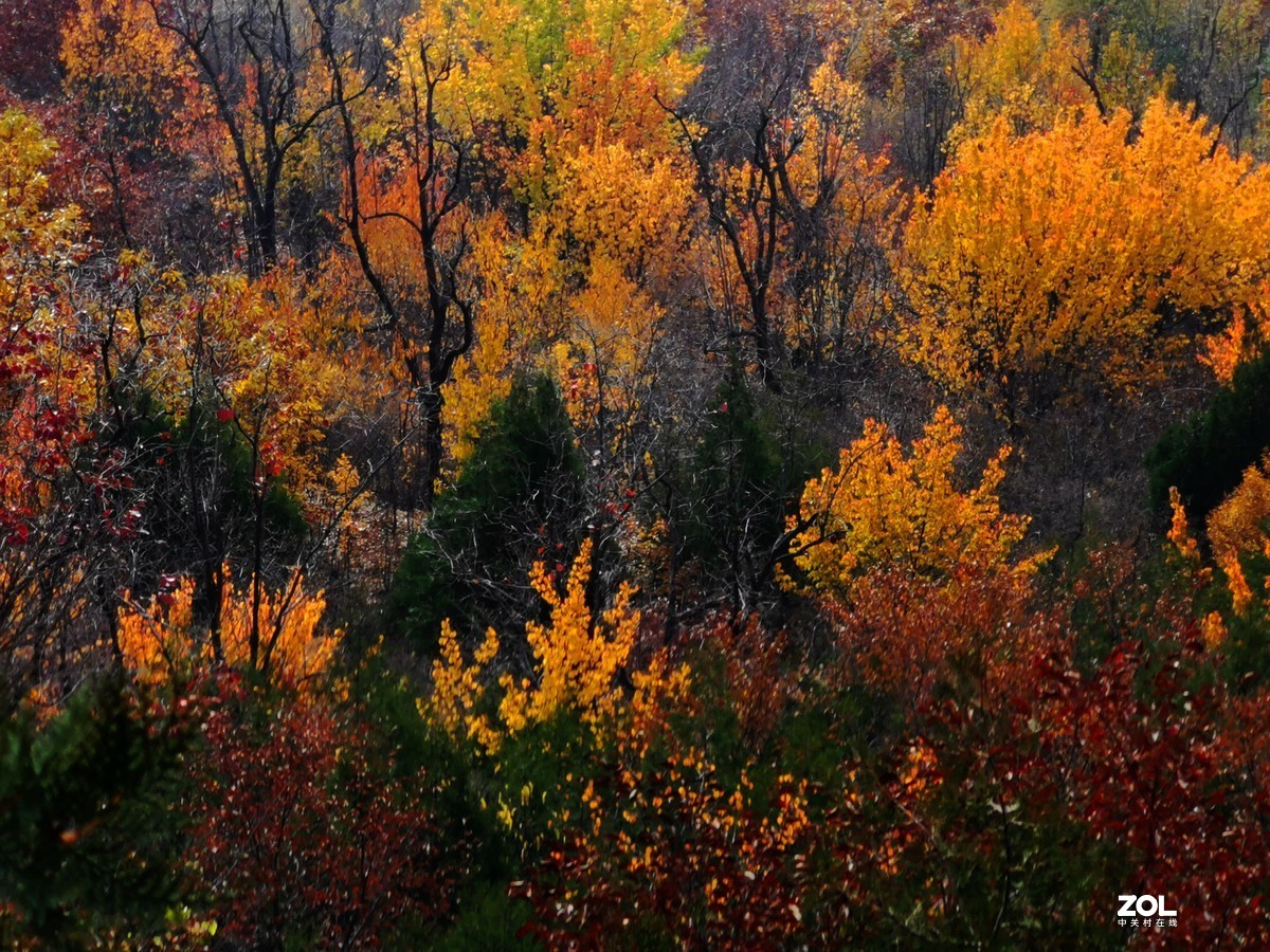 怀柔雁栖湖景区