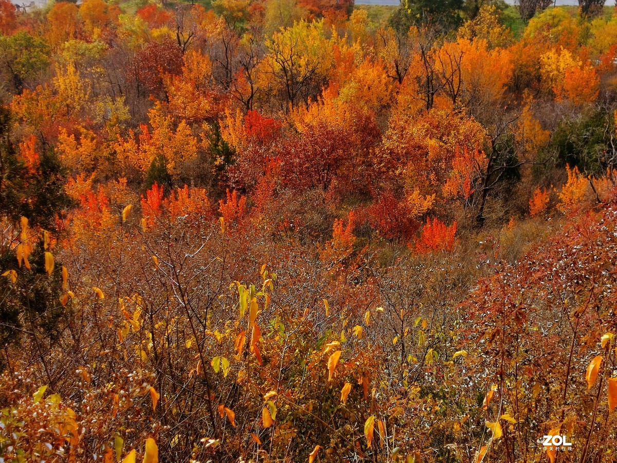 怀柔雁栖湖景区