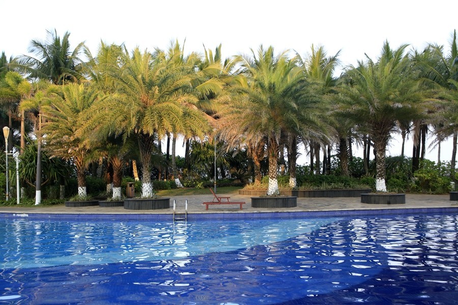 232【寿星老海南游摄日记】21.02.20临髙县长島兰湾：非常漂亮的游泳池！