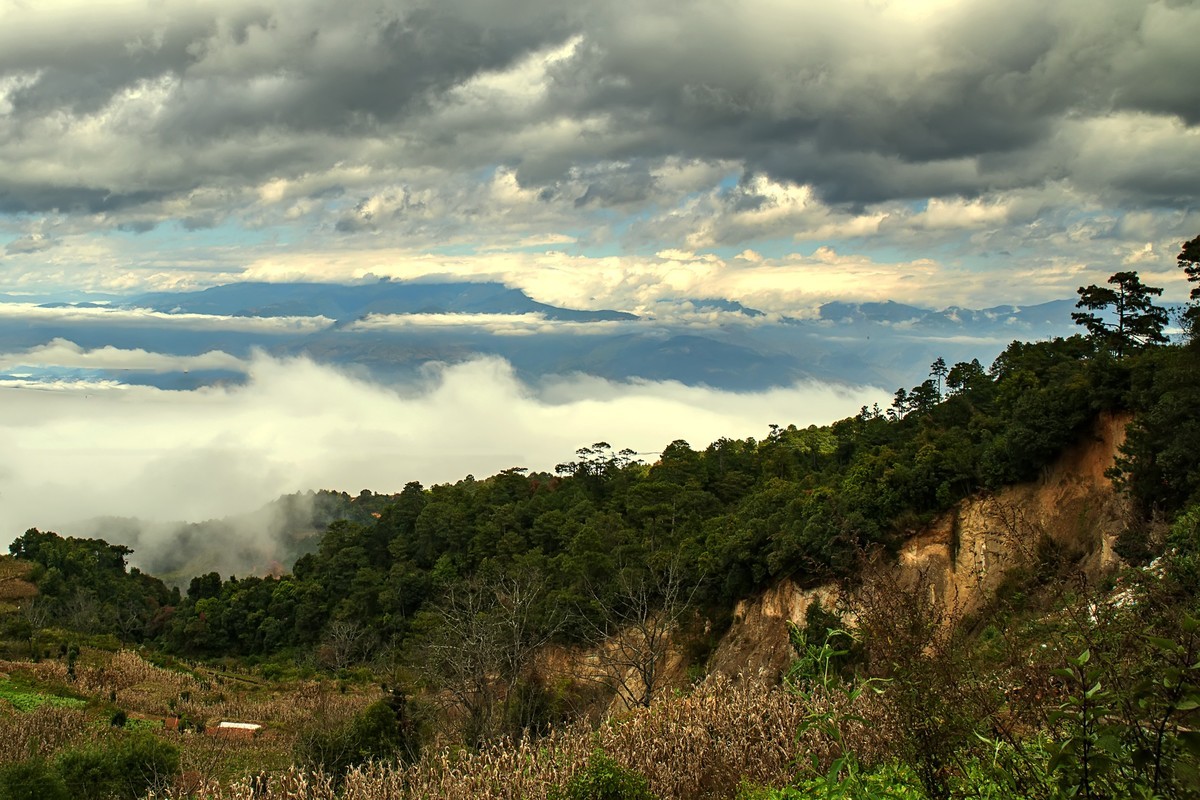 云南元江 · 羊街云海