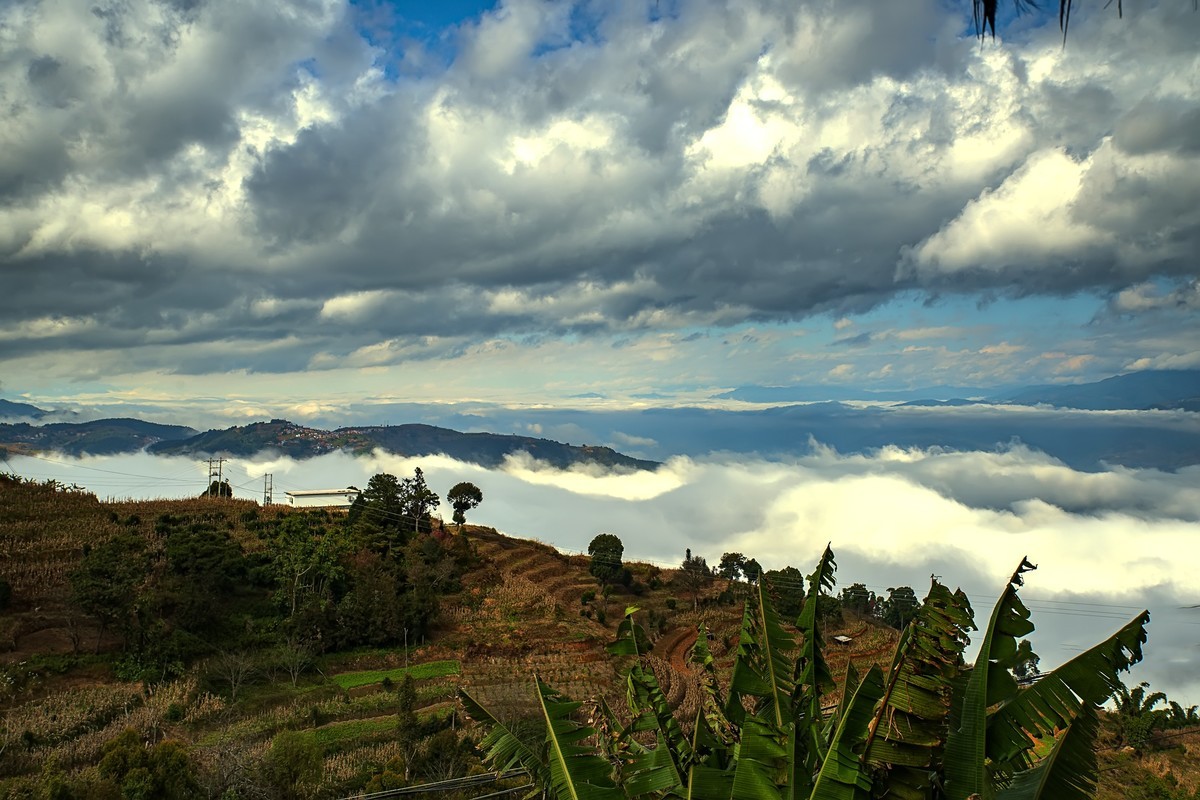 云南元江 · 羊街云海