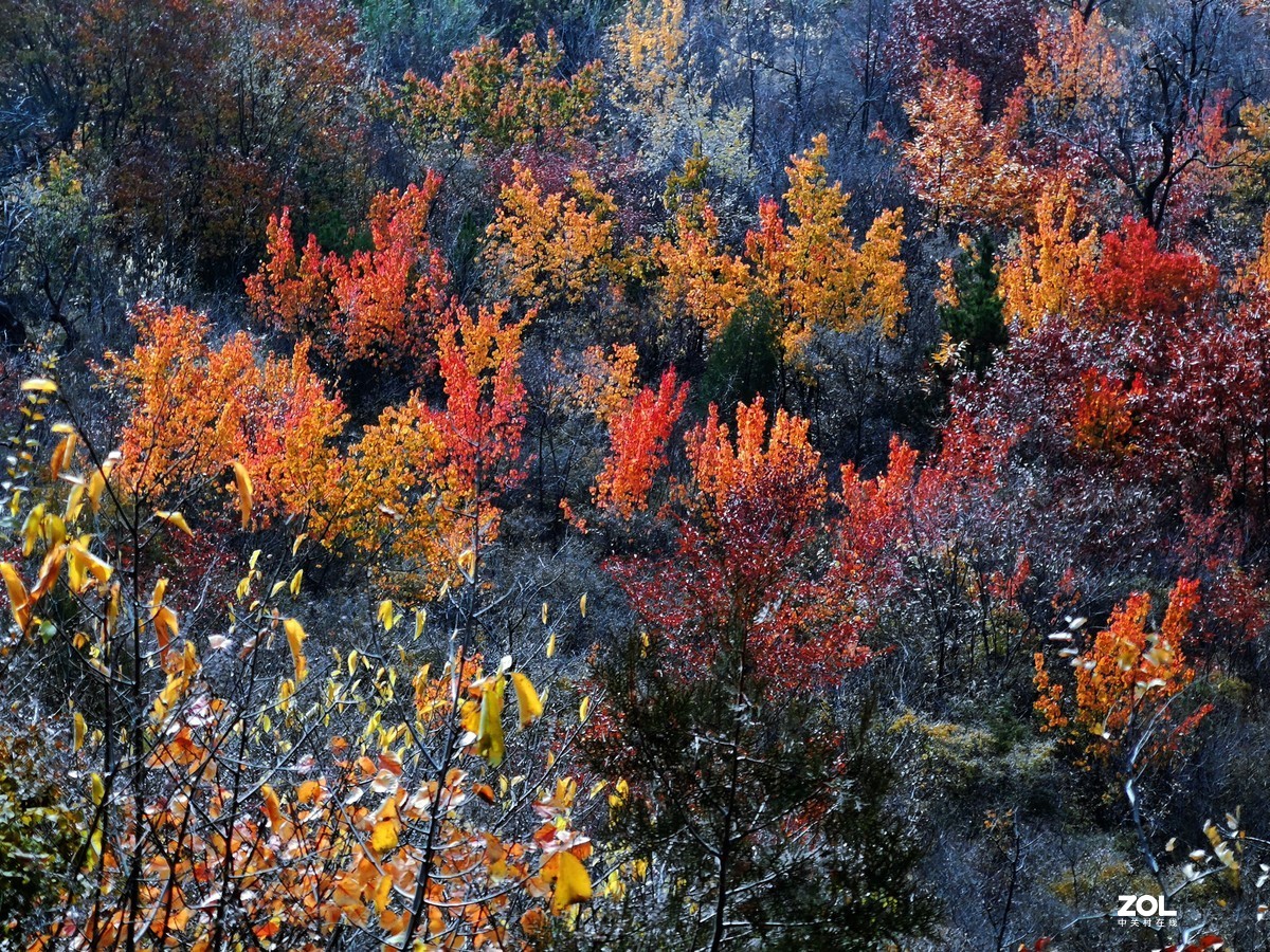 怀柔雁栖湖景区