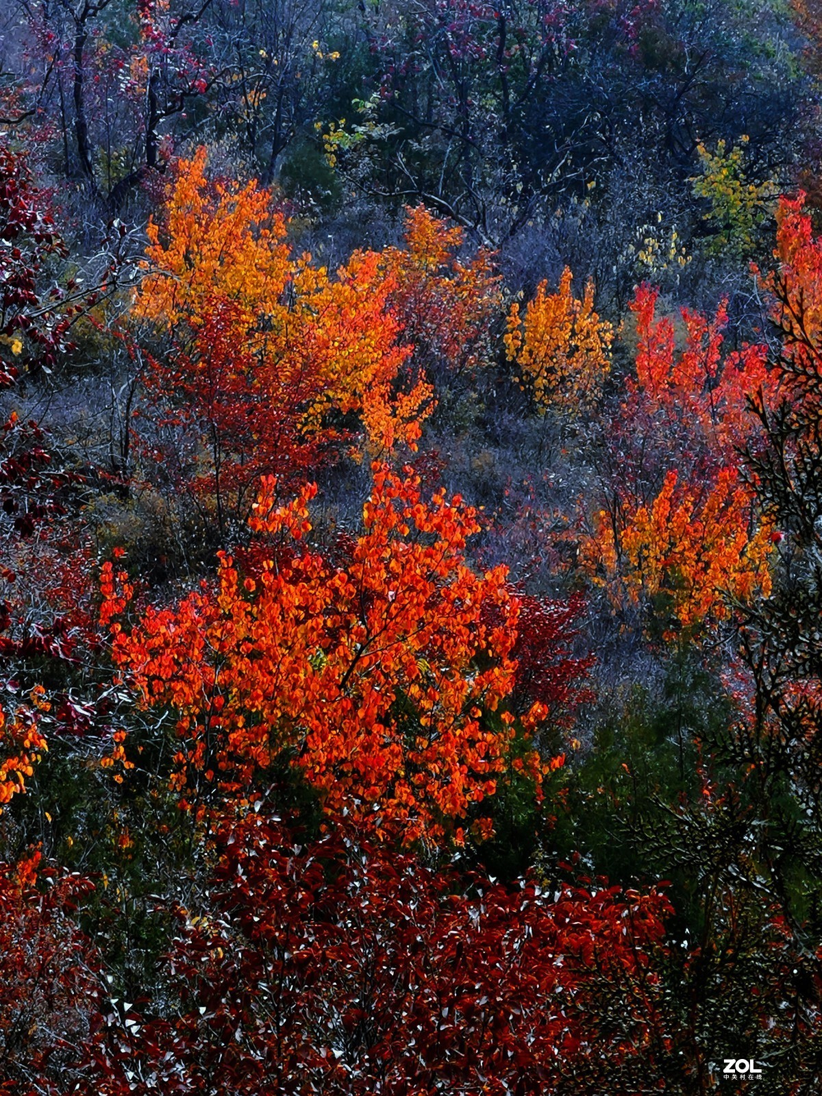 怀柔雁栖湖景区