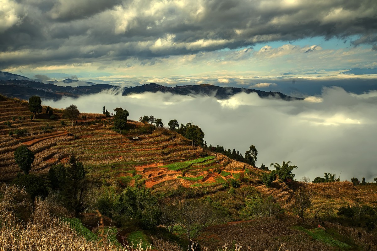 云南元江 · 羊街云海