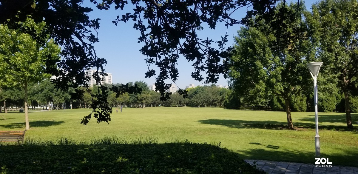 泰丰公园一瞥