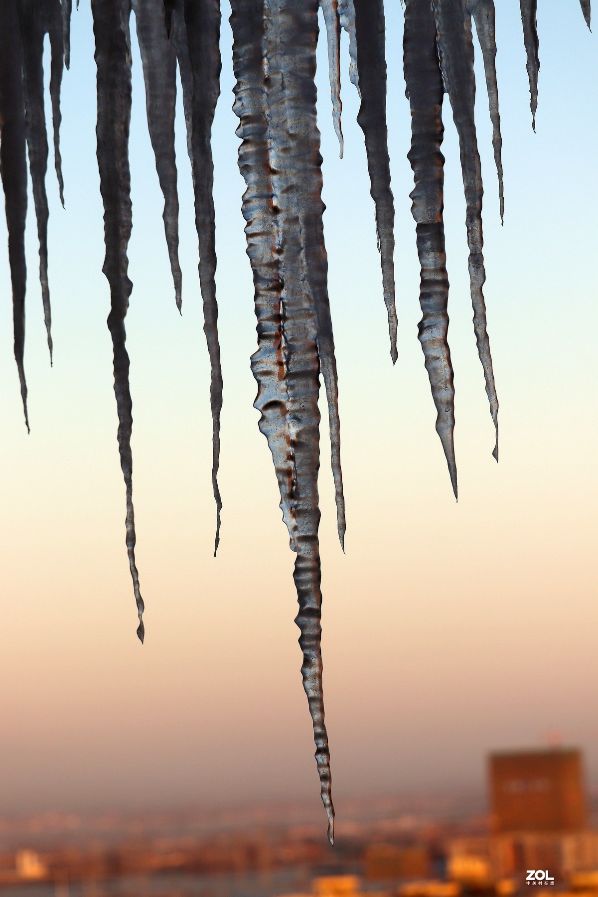 晨光中的冰锥二