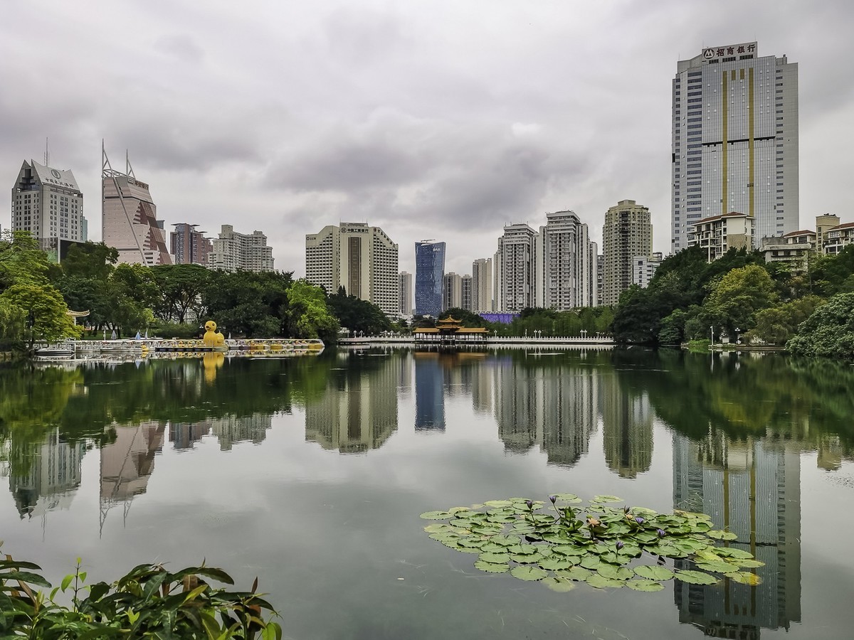 深圳荔枝公园掠影