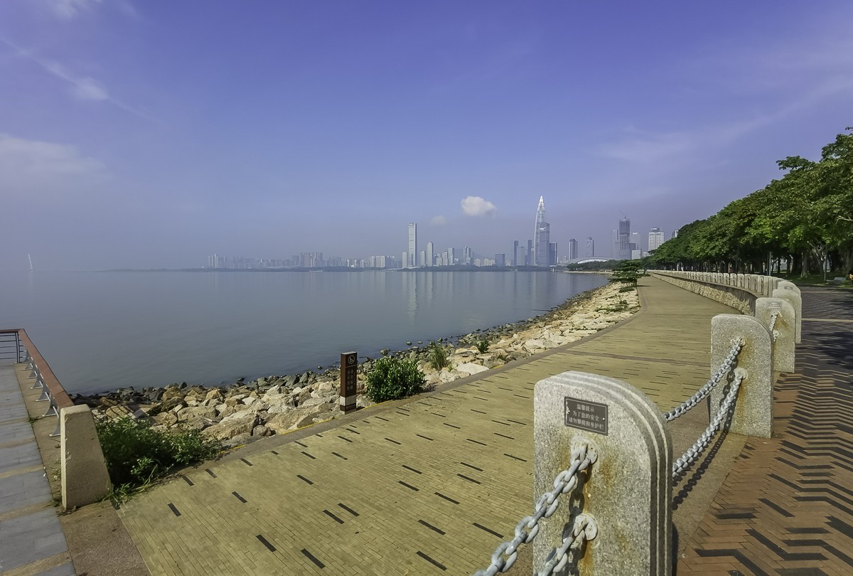 深圳湾公园图片实拍图片