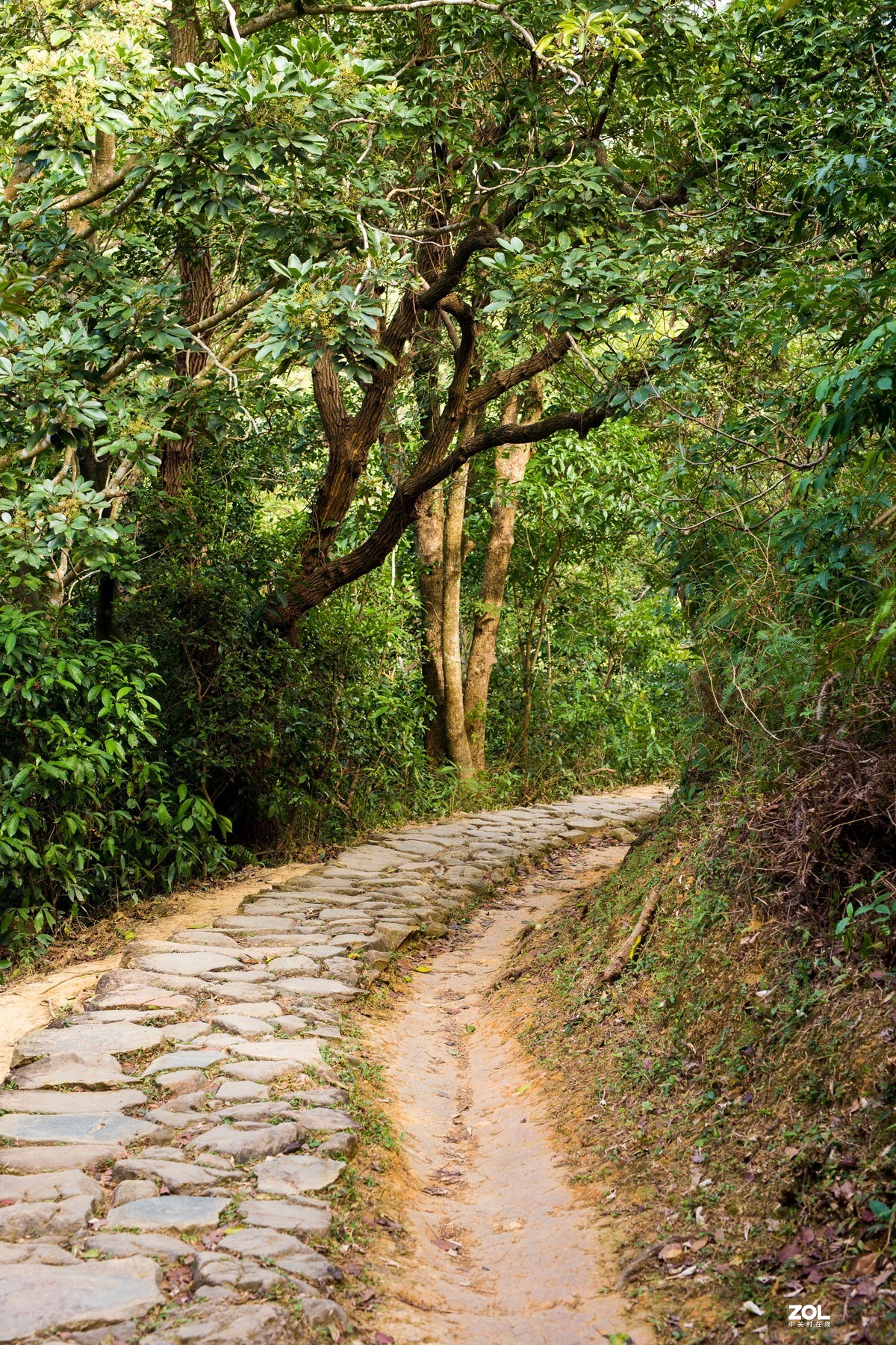 行走小夏威夷徑