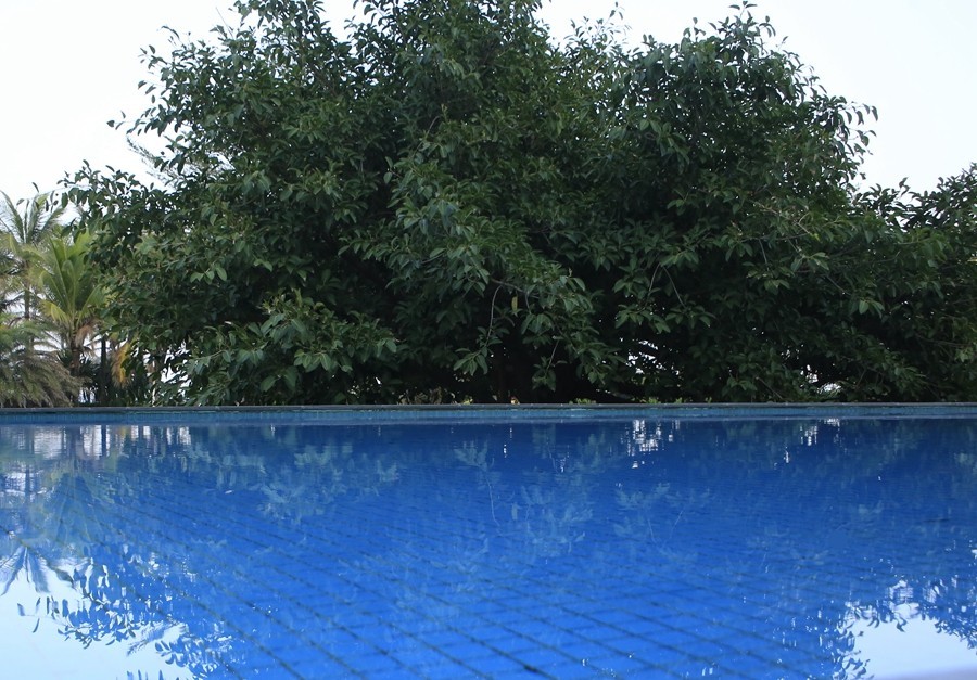 232【寿星老海南游摄日记】21.02.20临髙县长島兰湾：非常漂亮的游泳池！