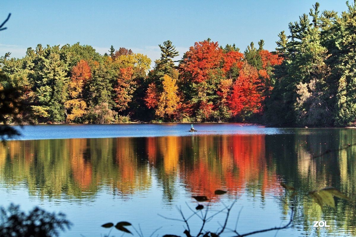 湖边赏枫