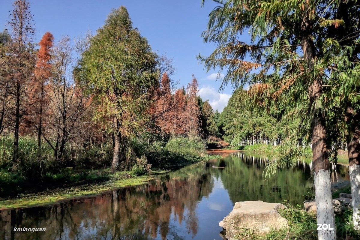 家門口的風景溼地公園速寫