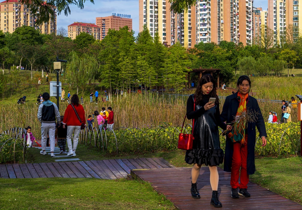庐州印记（185）四季花海城市花园