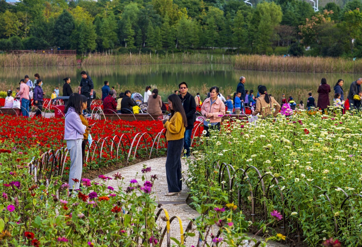 庐州印记（185）四季花海城市花园