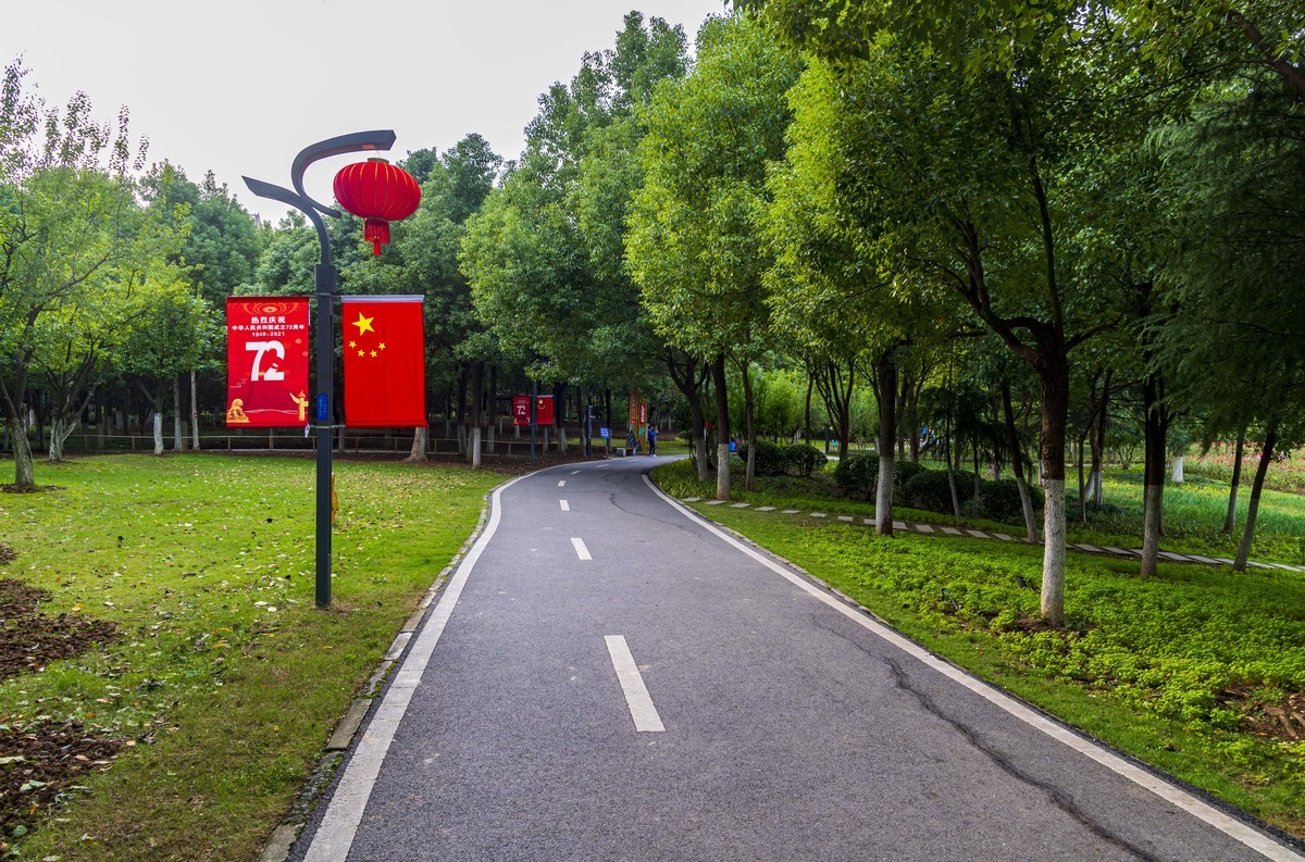 庐州印记（185）四季花海城市花园