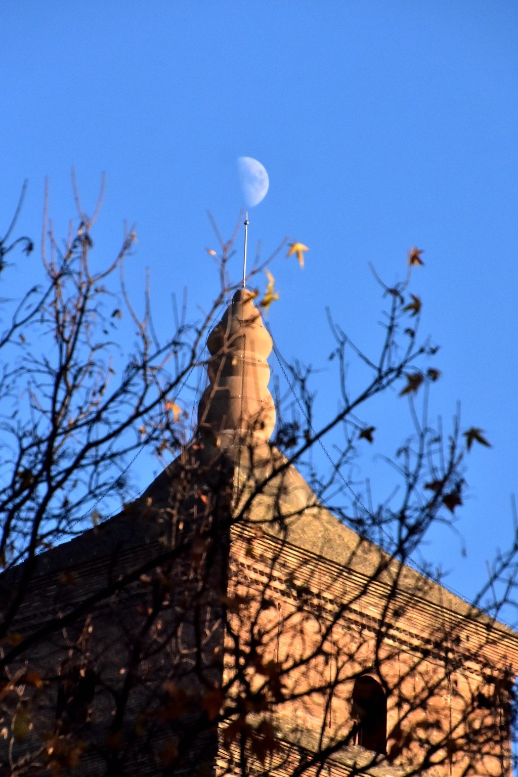 大雁塔下的秋色