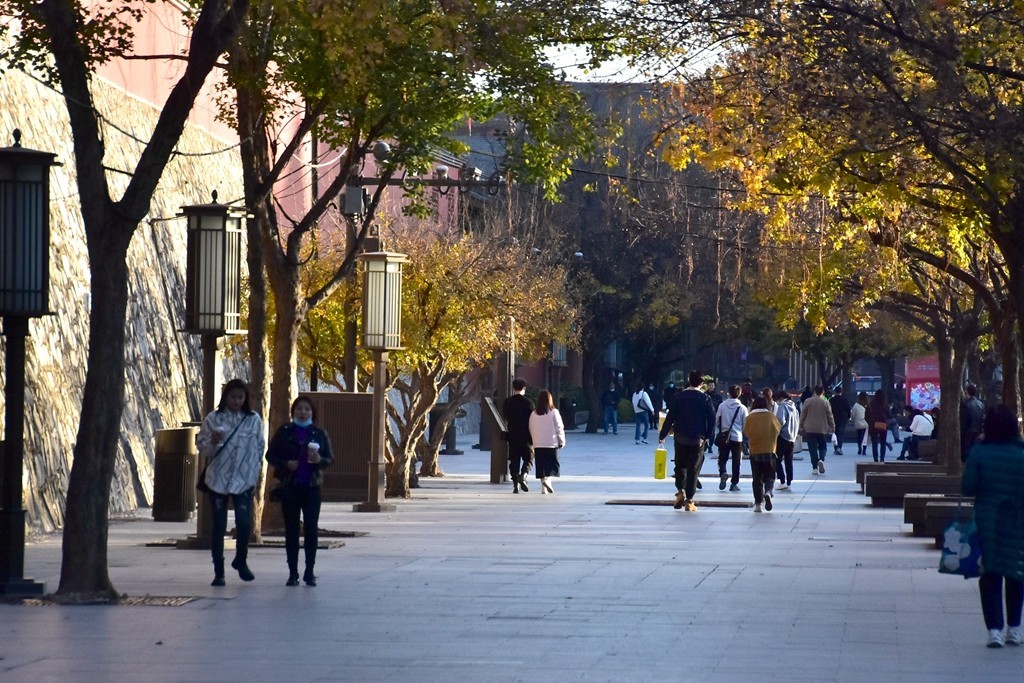 大雁塔下的秋色