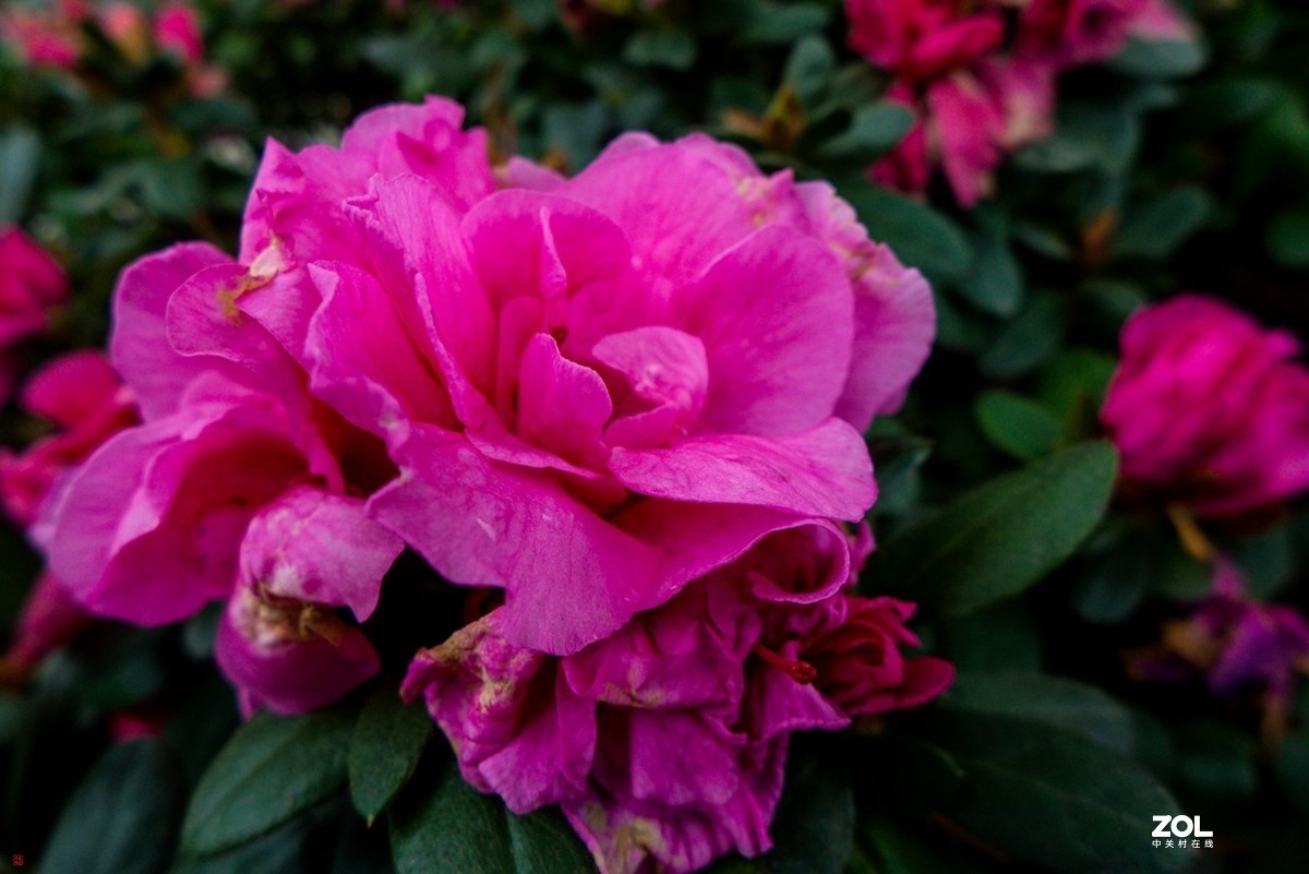 北碚城南风光随拍(7)松下Lx7