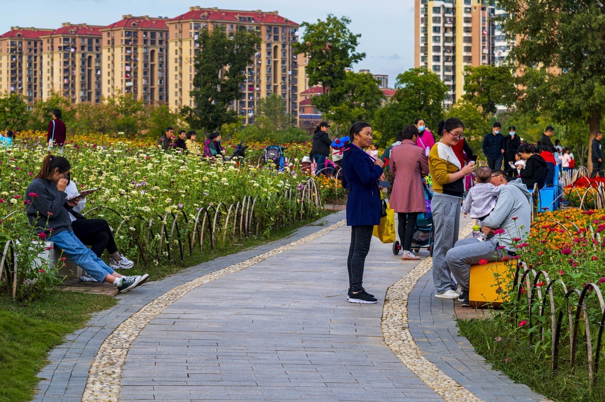 庐州印记（185）四季花海城市花园