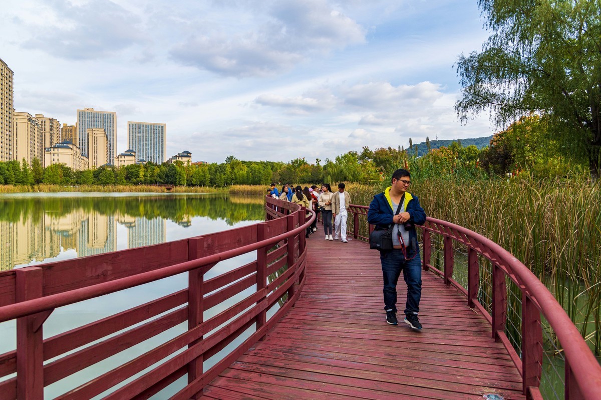庐州印记（185）四季花海城市花园