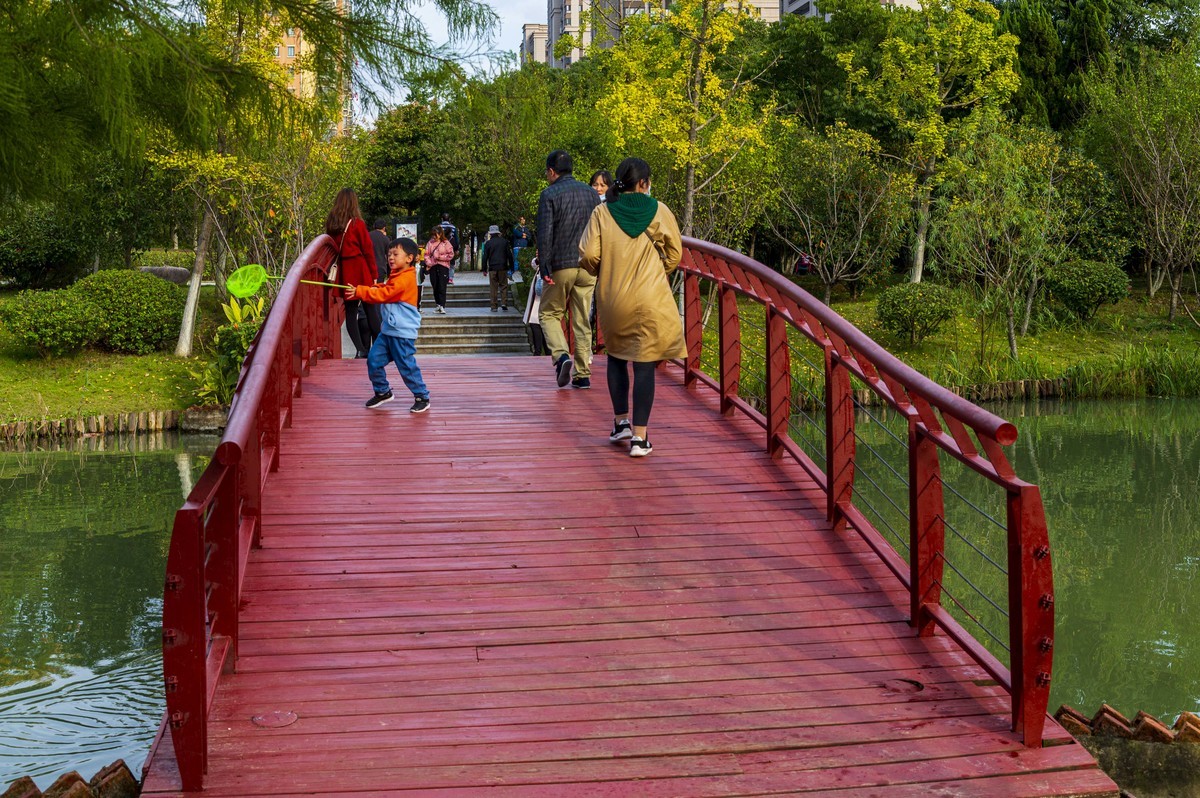 庐州印记（185）四季花海城市花园