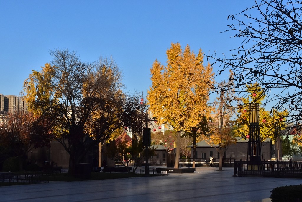 大雁塔下的秋色