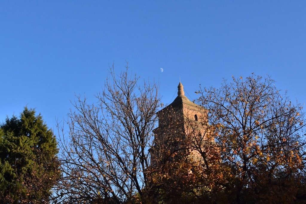 大雁塔下的秋色