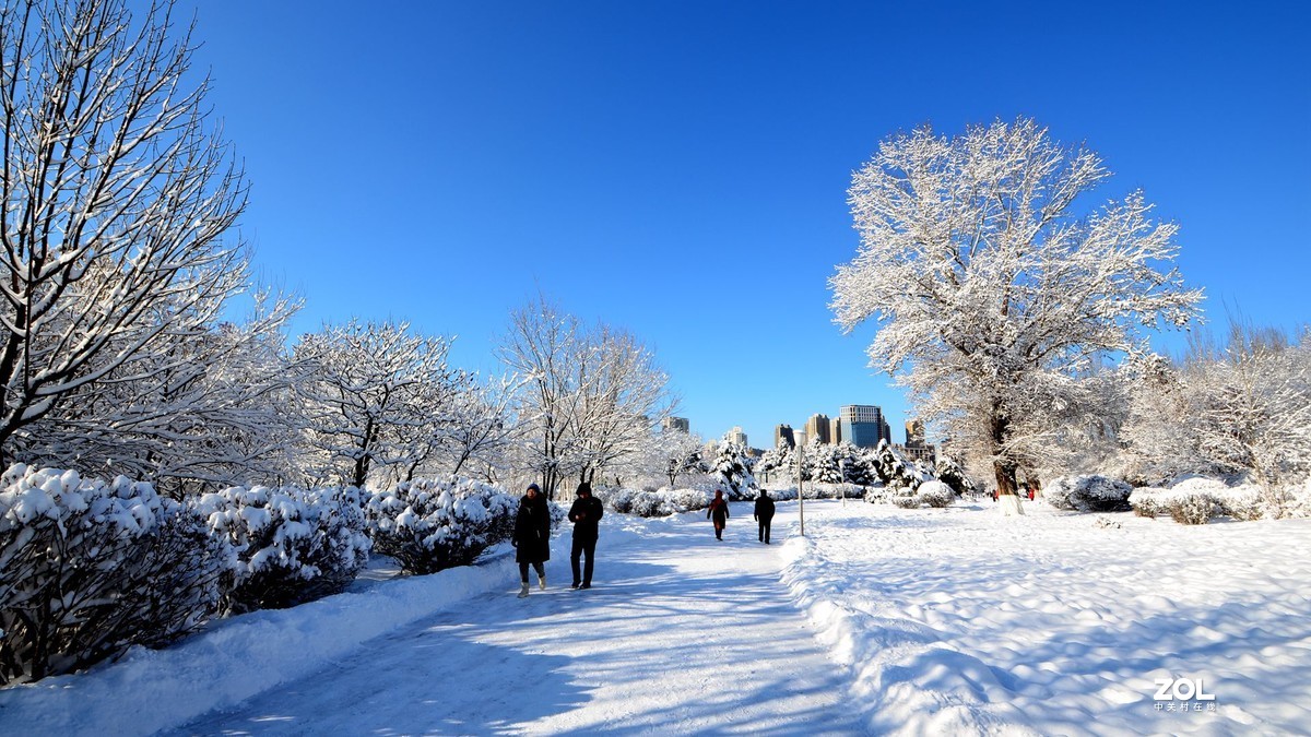 瑞雪兆丰年-中关村在线摄影论坛