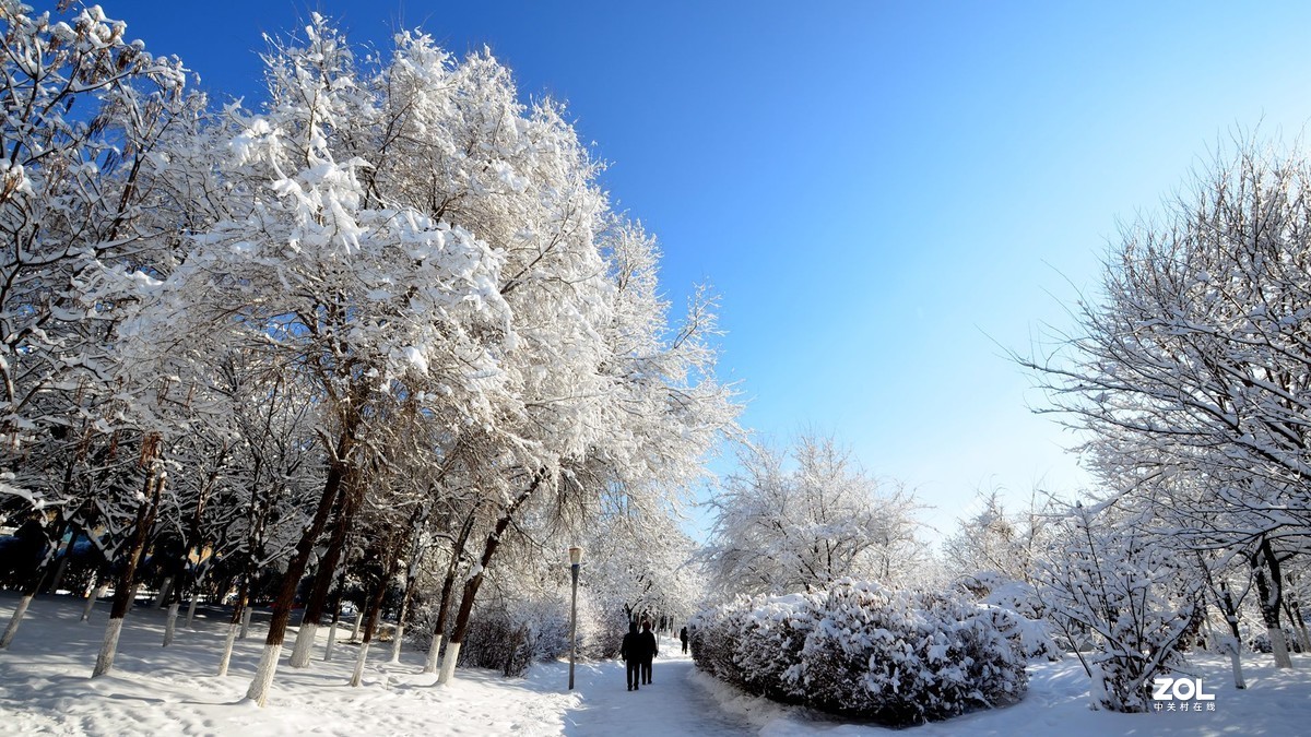 瑞雪兆丰年-中关村在线摄影论坛