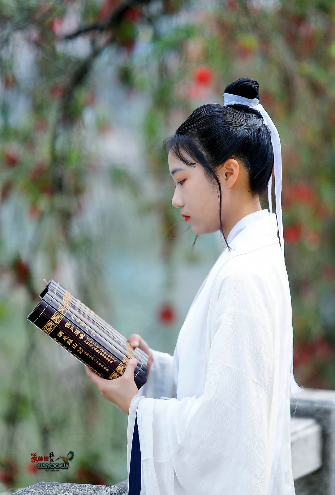 古风女书生小张