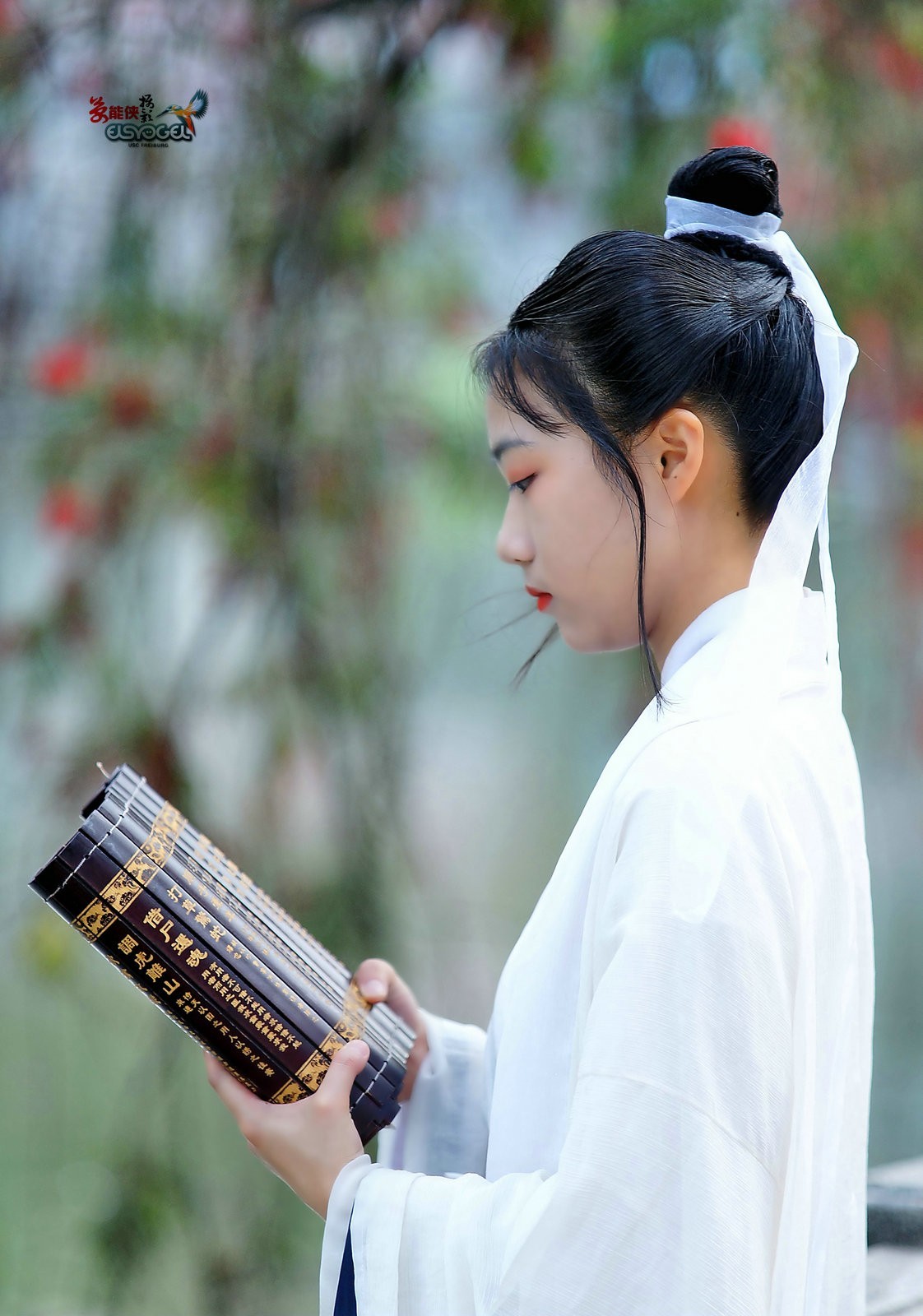 古风女书生小张