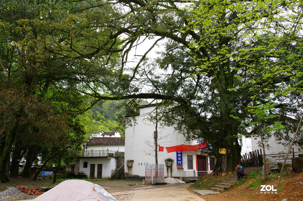 烟花三月下江南--江西-婺源-石城村【2】和菊径村