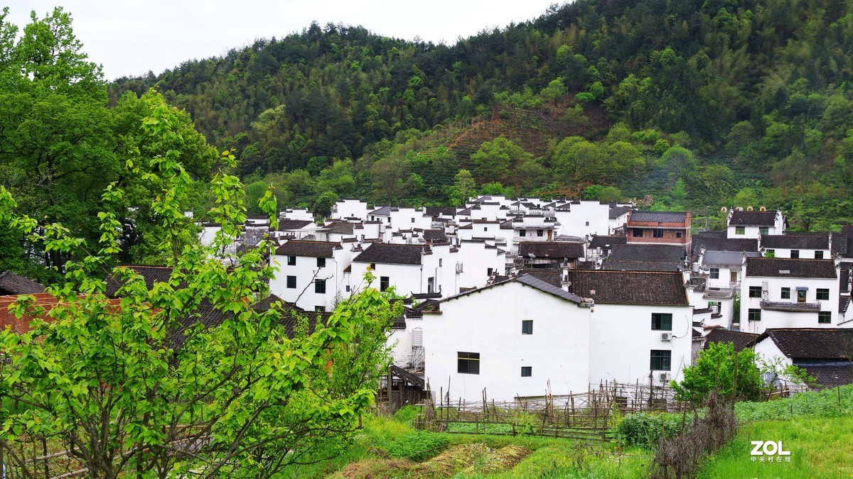 烟花三月下江南--江西-婺源-石城村【2】和菊径村
