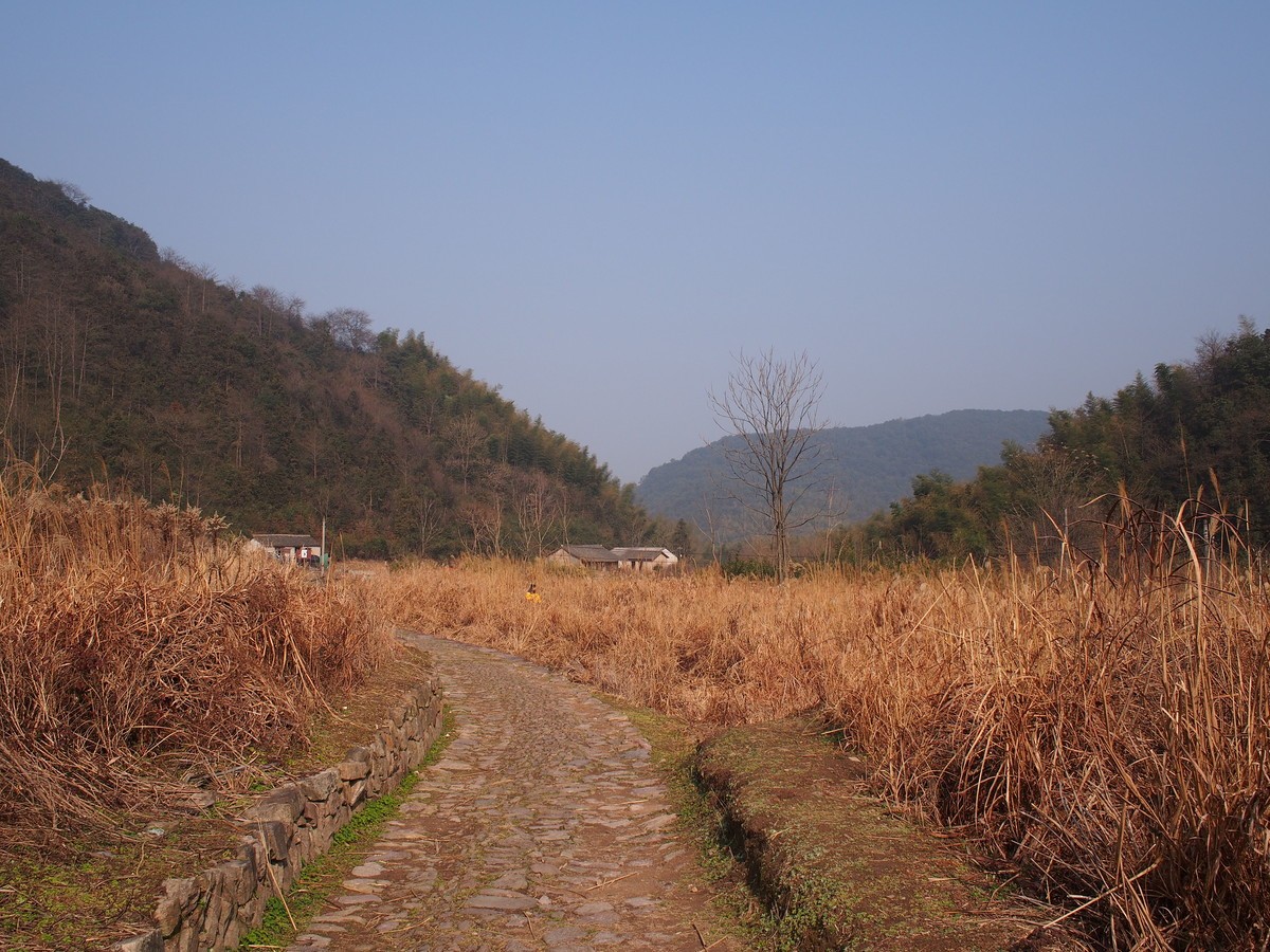 走进山村