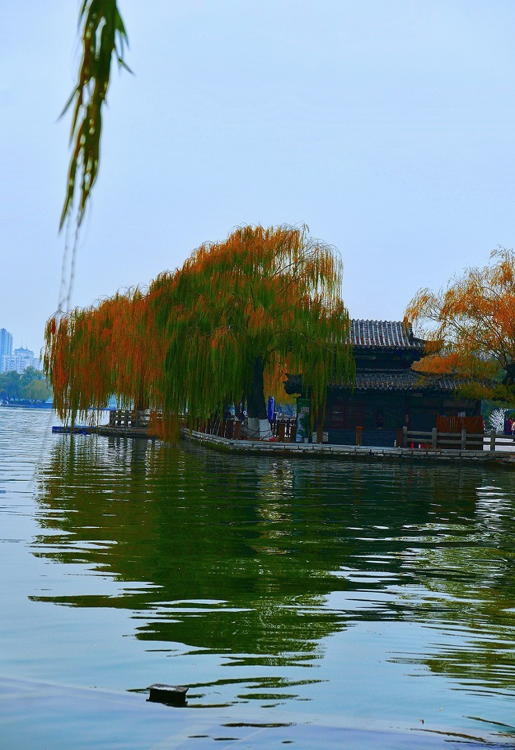 游济南景区随拍小景！