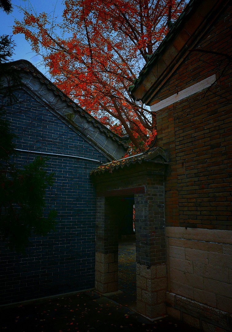 游济南景区随拍小景！