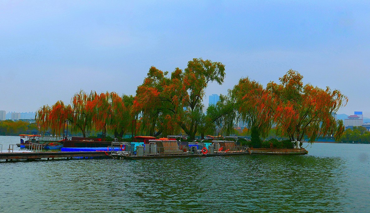 游济南景区随拍小景！