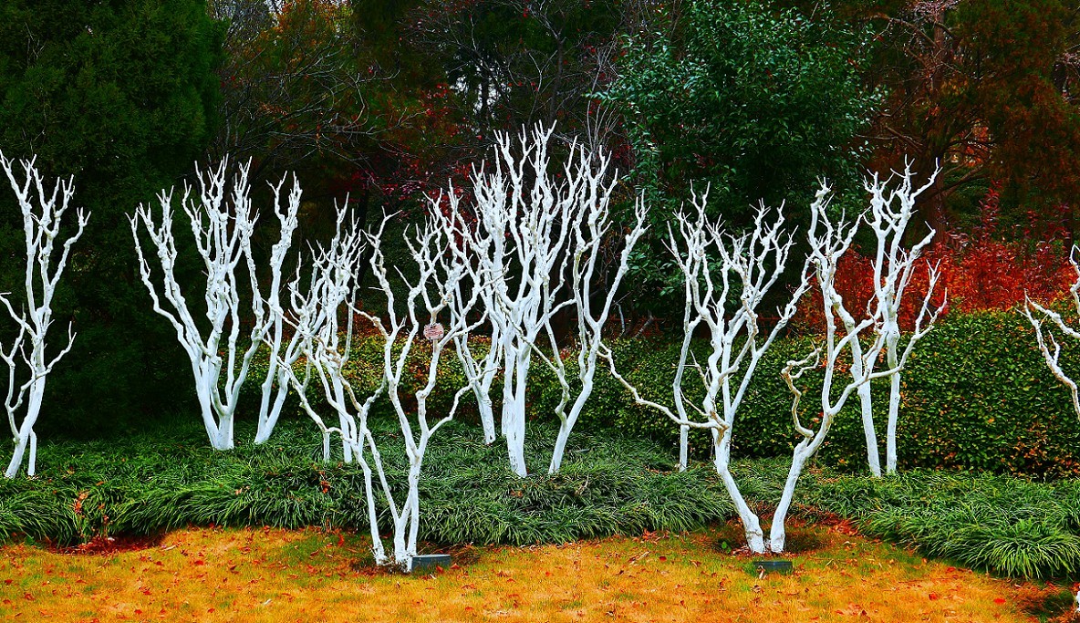 游济南景区随拍小景！